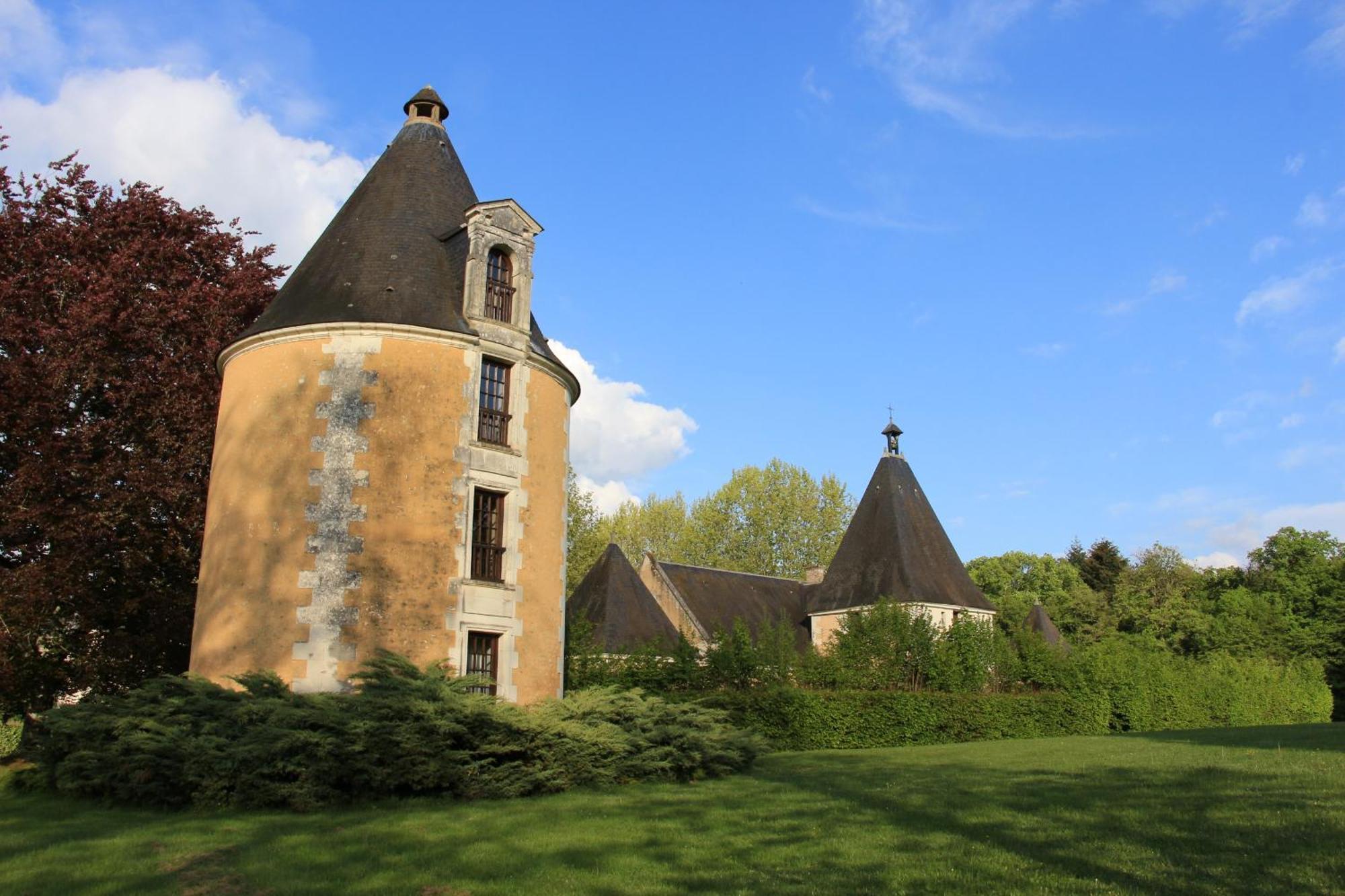 Chateau De La Menaudiere Chissay-en-Touraine Exterior foto