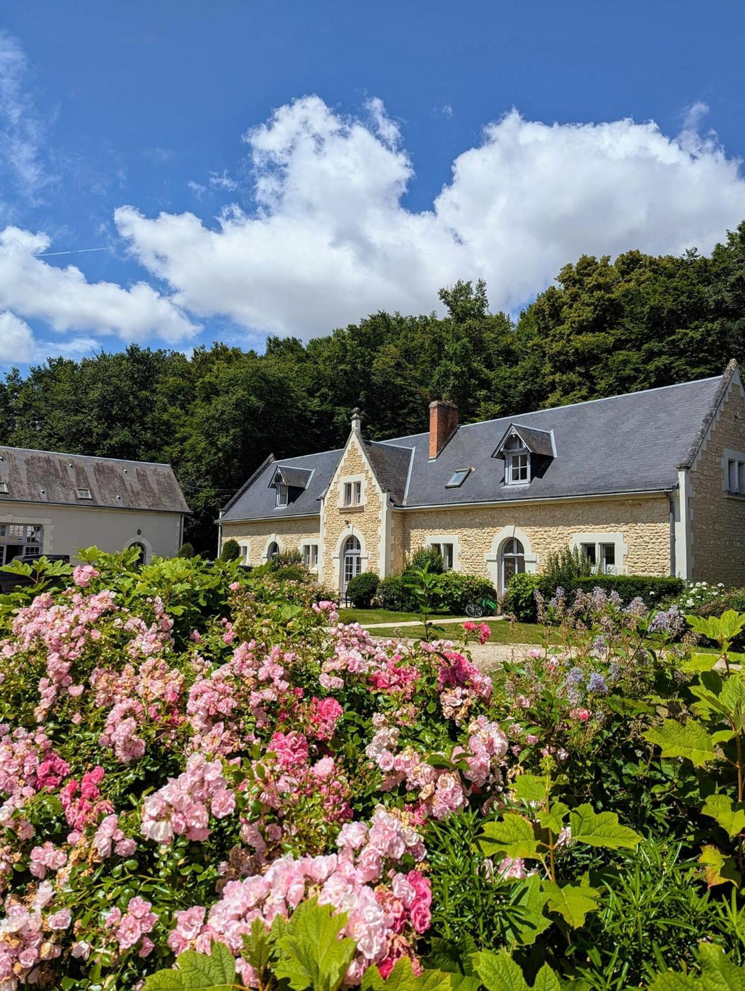 Chateau De La Menaudiere Chissay-en-Touraine Exterior foto